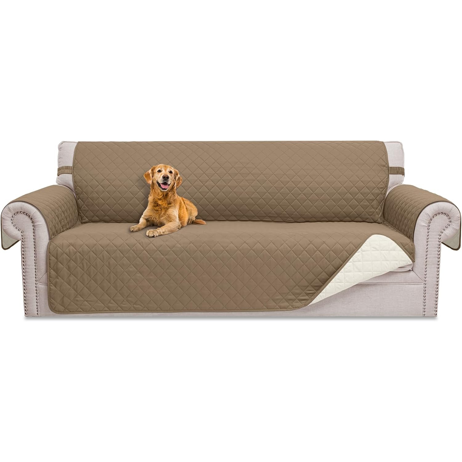 10 Best Couch Covers for Dogs in 2024 Reviews & Top Picks Dogster