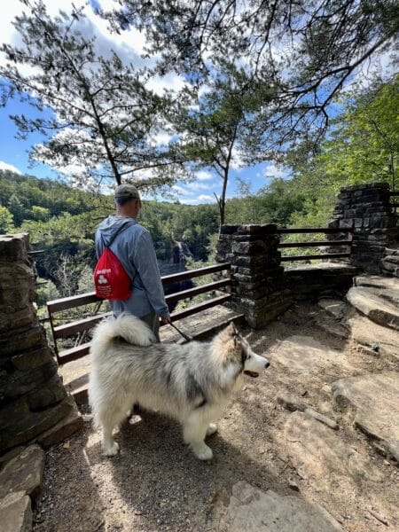 hiking with dog