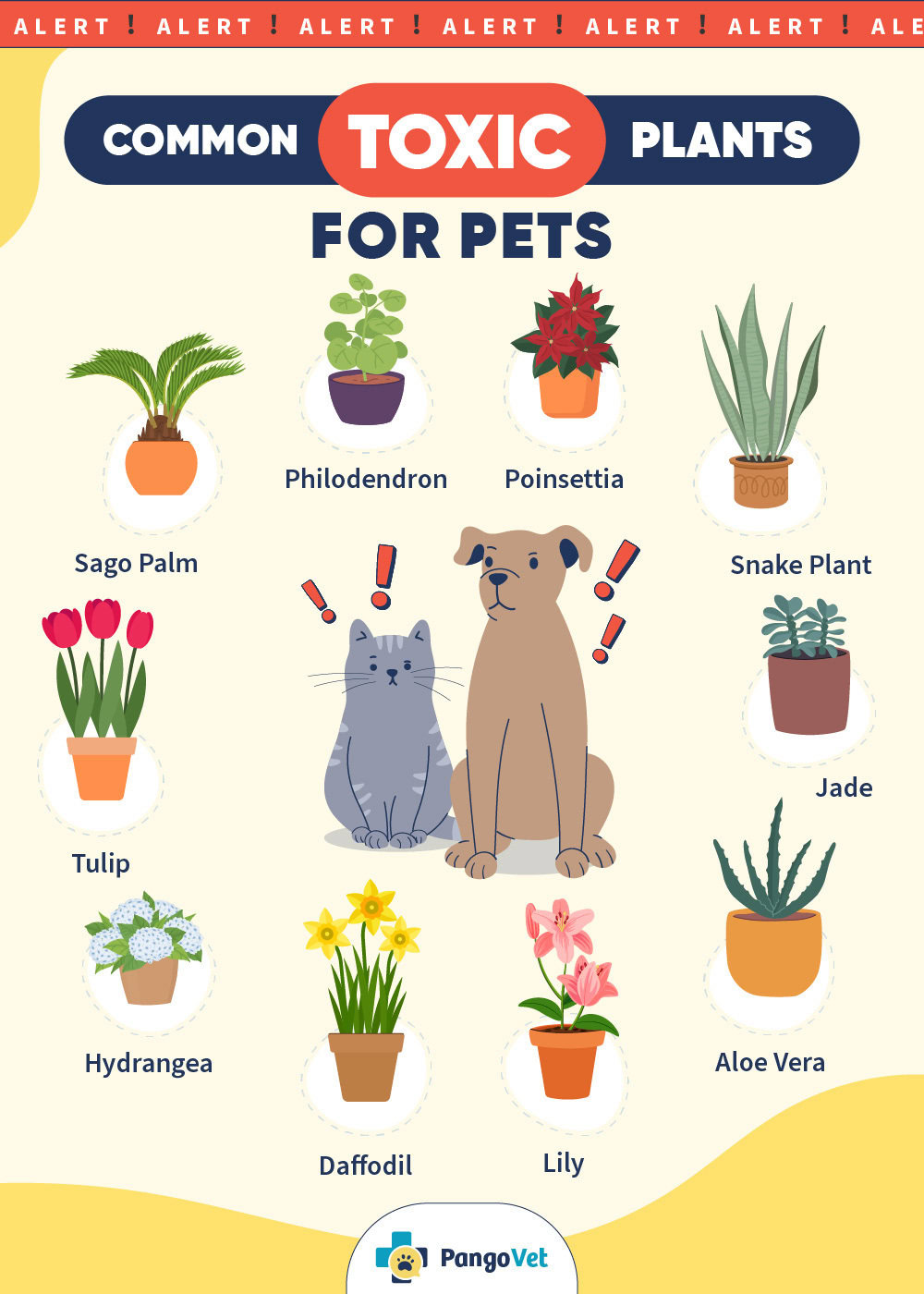 pangovet toxic houseplants