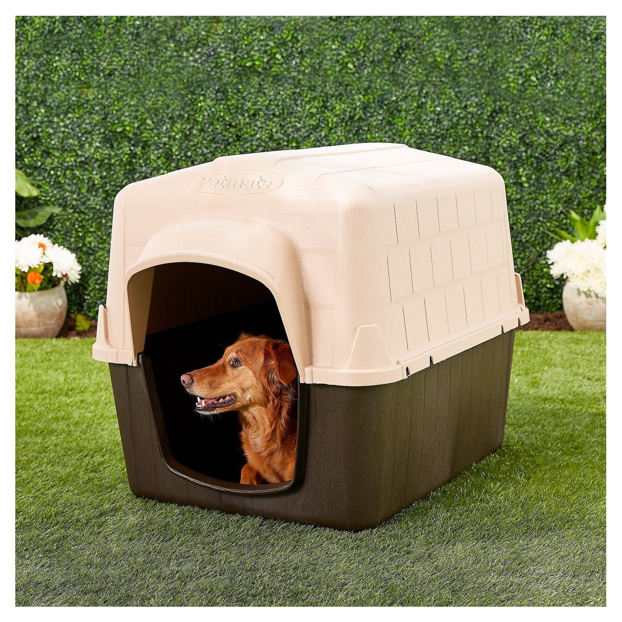 Aspen Pet Petbarn 3 Plastic Dog House