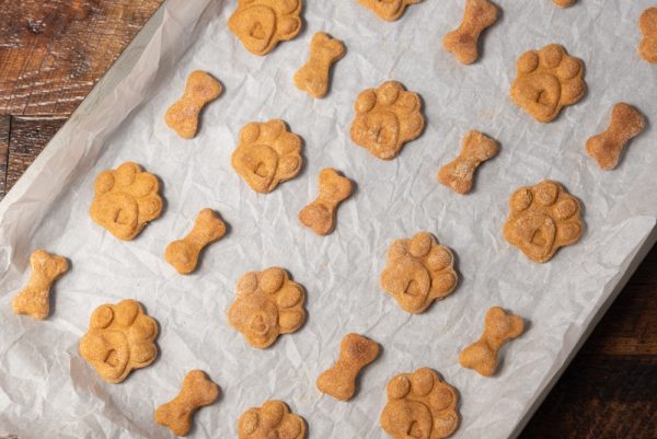 Bone and paw-shaped dog treats on cookie sheet