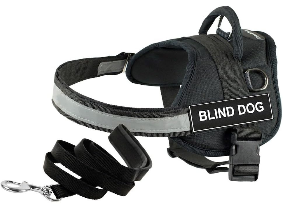 Dean and Tyler Blind Dog Harness & Leash