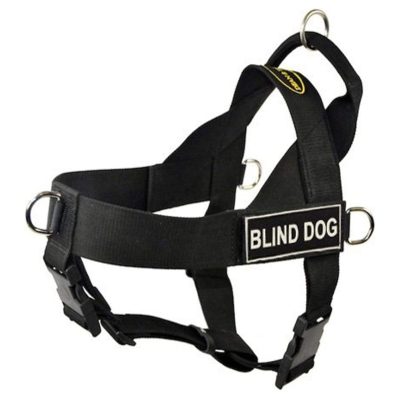 Dean and Tyler Blind Dog No-Pull Harness