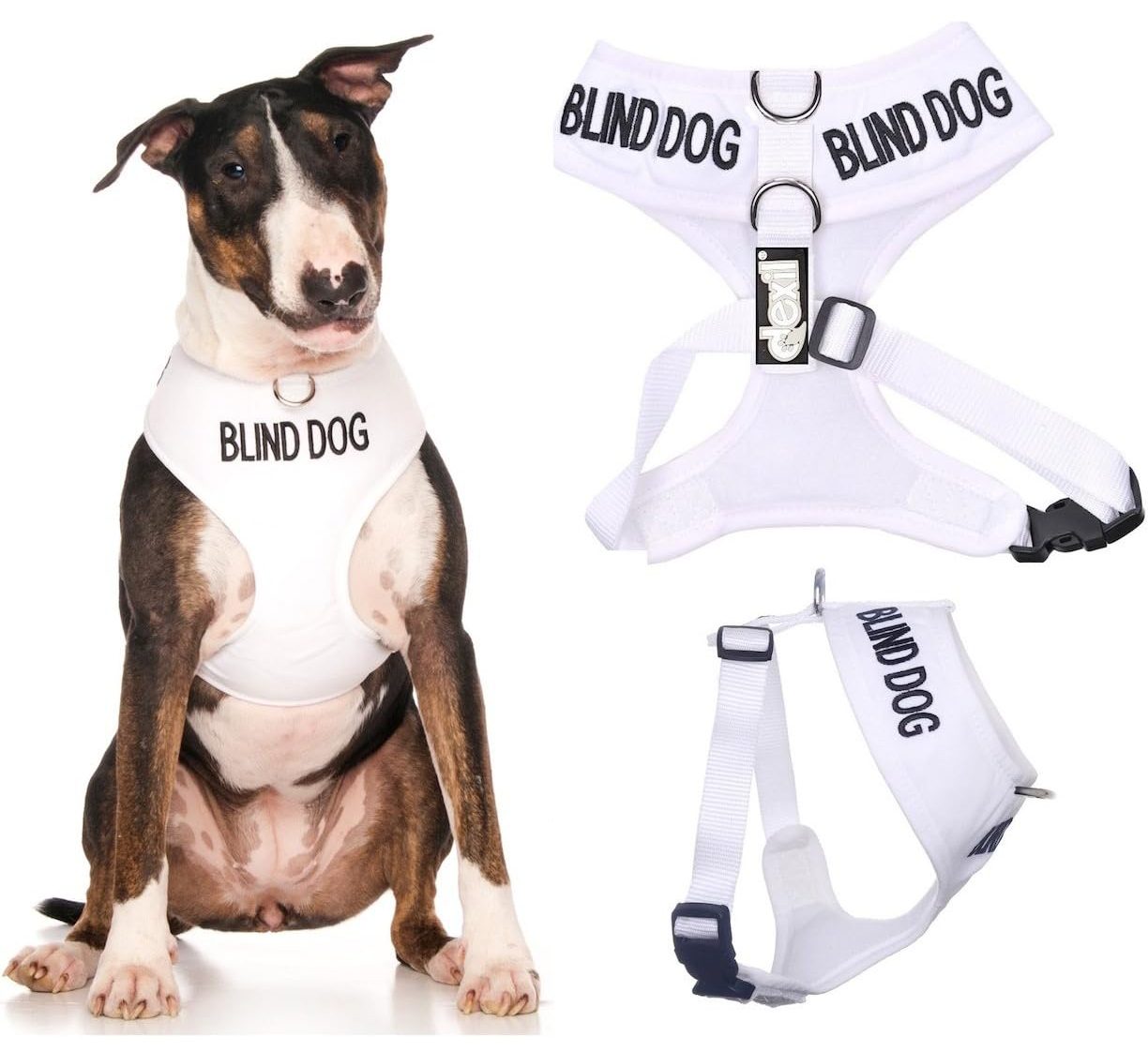 Dexil Blind Dog Harness