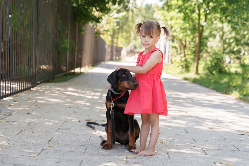 Doberman sitting aside a little girl on a park