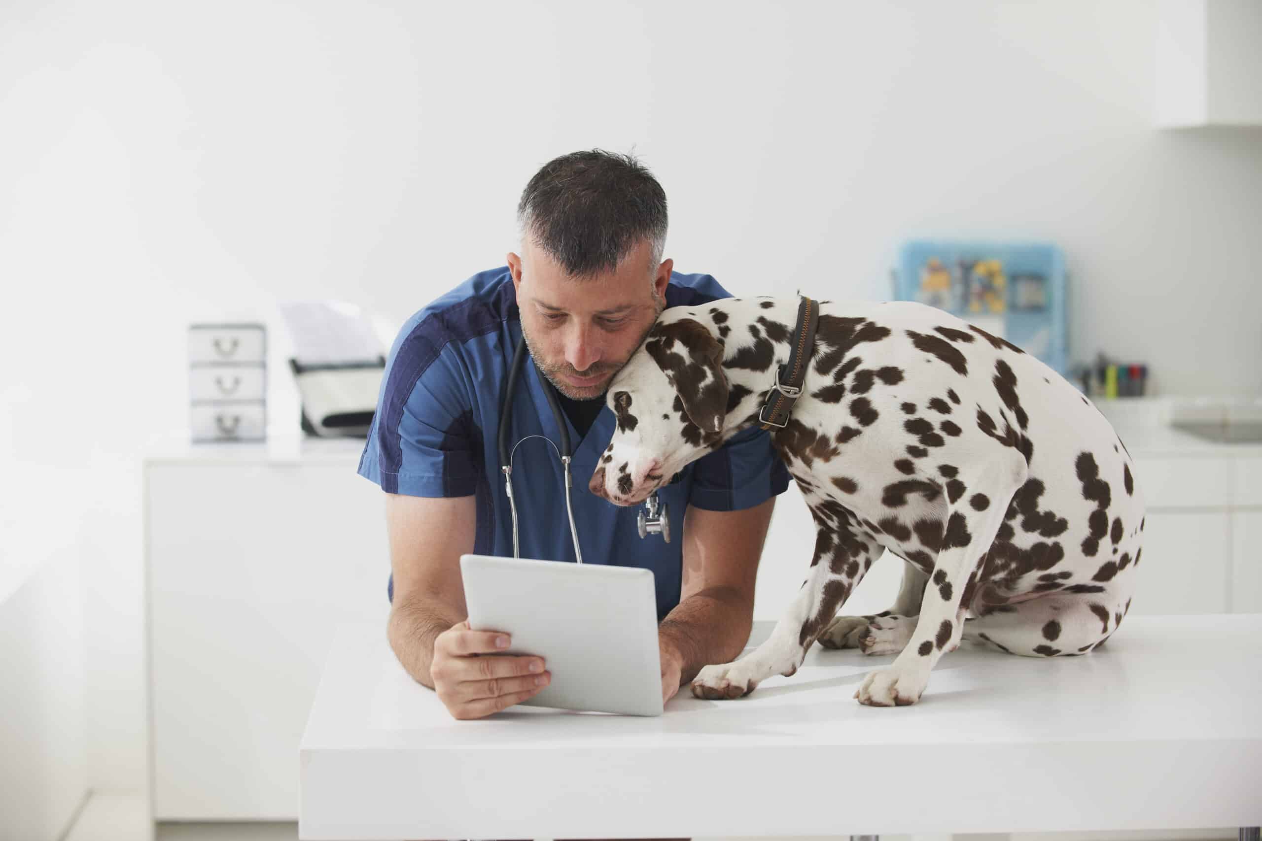 Caucasian veterinarian cuddling dog and using digital tablet