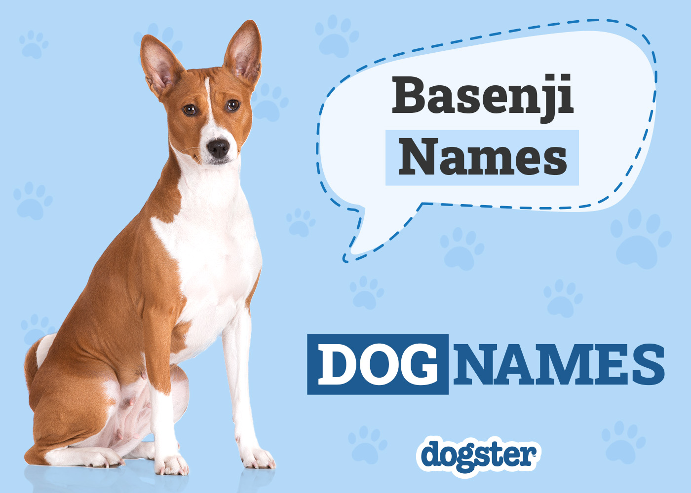 Dogster_Basenji Names