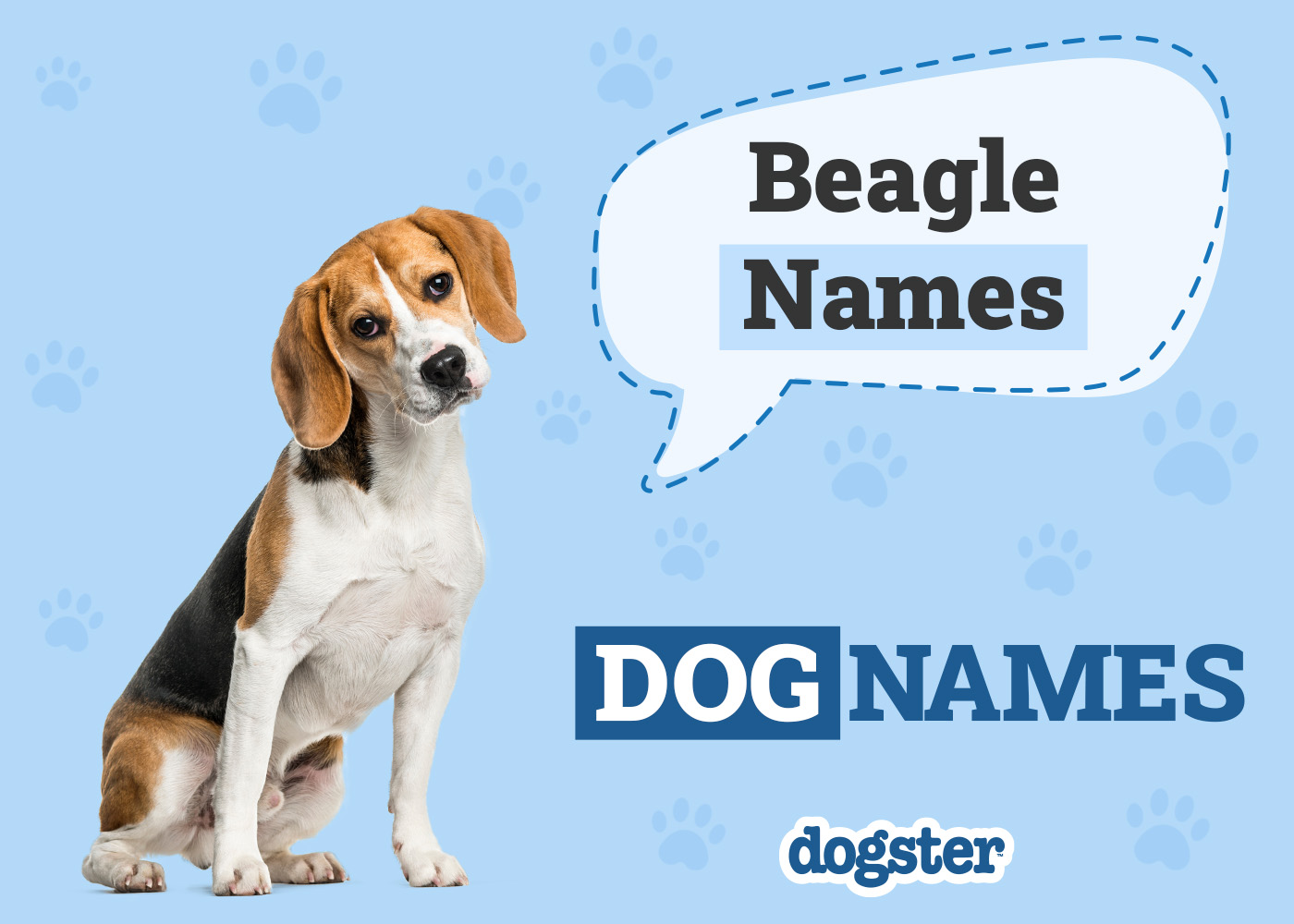 Dogster_Beagle Names