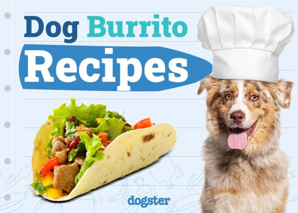 Dog-Friendly Burrito Recipes You Can Make Today