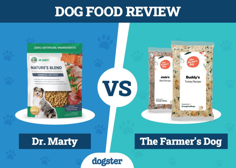 Dogster_Dog Food Dr. Marty VS The Farmer_s Dog