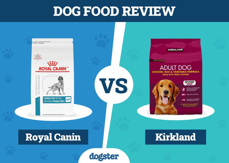 Dogster_Dog Food Royal Canin vs Kirkland