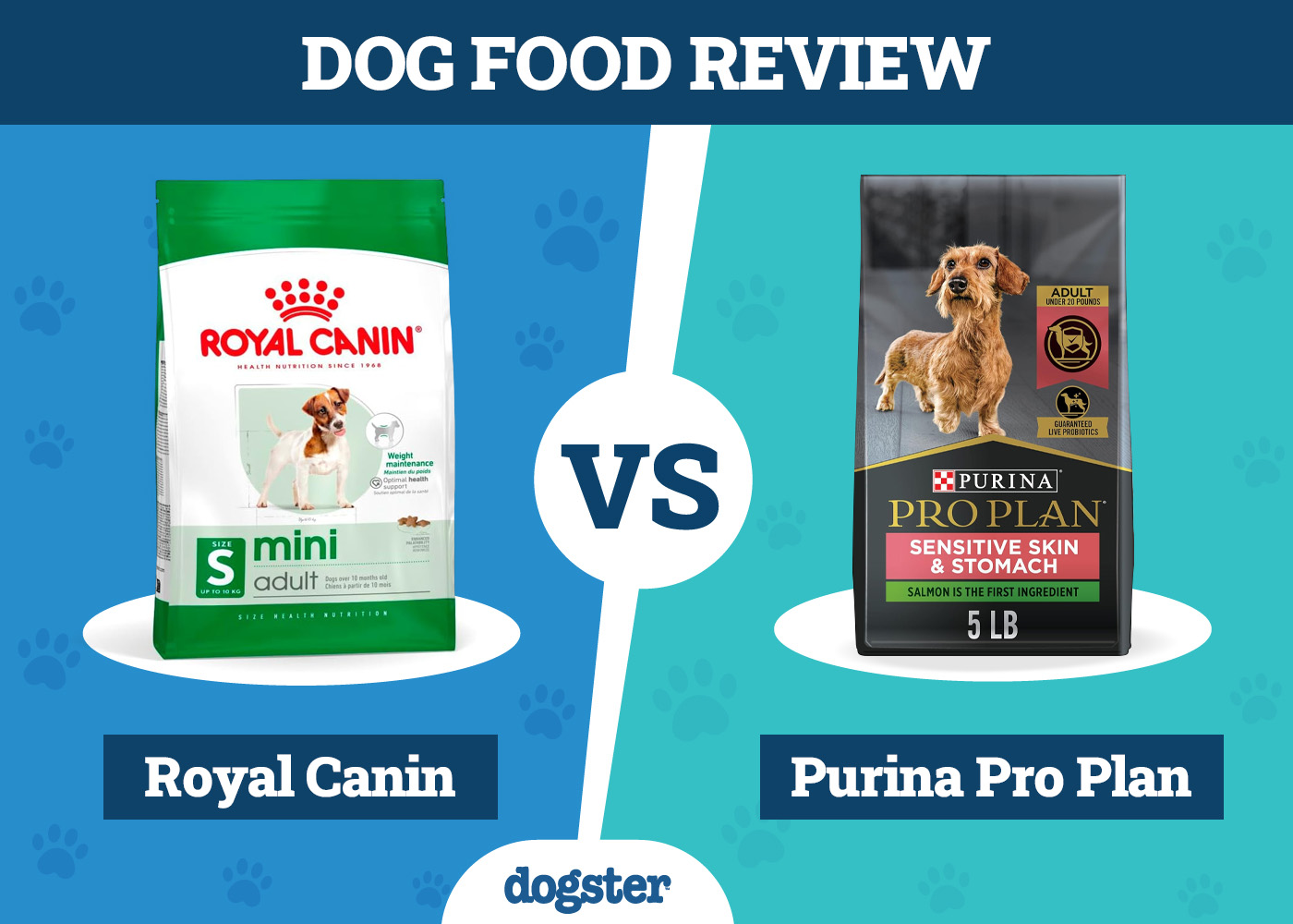 Dogster_Dog Food Royal Canin vs Purina Pro Plan