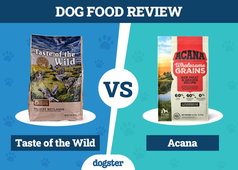 Dogster_Dog Food Taste of the Wild vs Acana