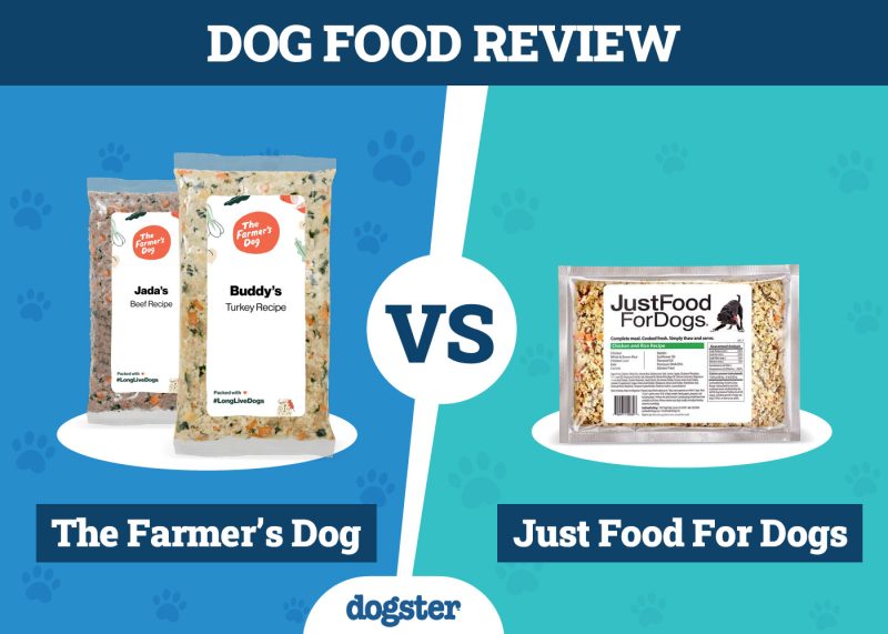 Dogster_Dog Food The Farmer_s Dog VS Just Food