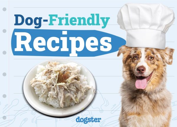 Dog-Friendly Recipes You Can Try at Home