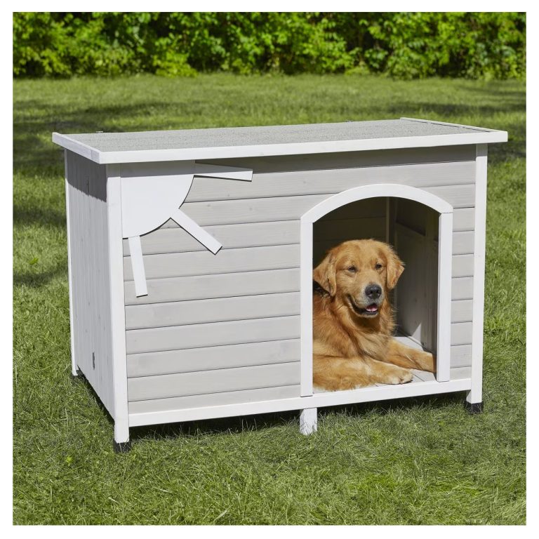 7 Best Dog Houses for Large Dogs in 2024: Reviews & Top Picks – Dogster