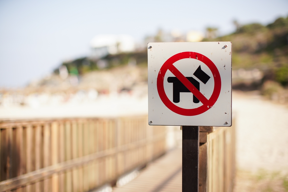No dogs allowed at the beach sign