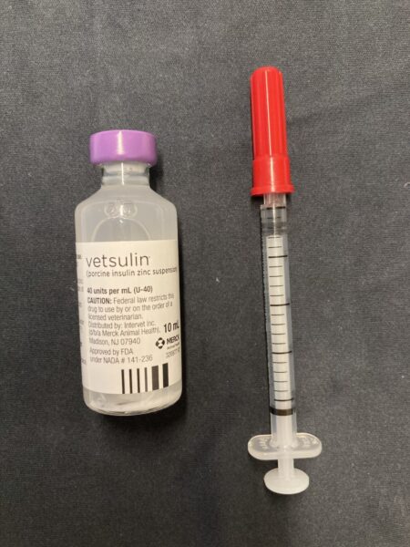 insulin for dogs