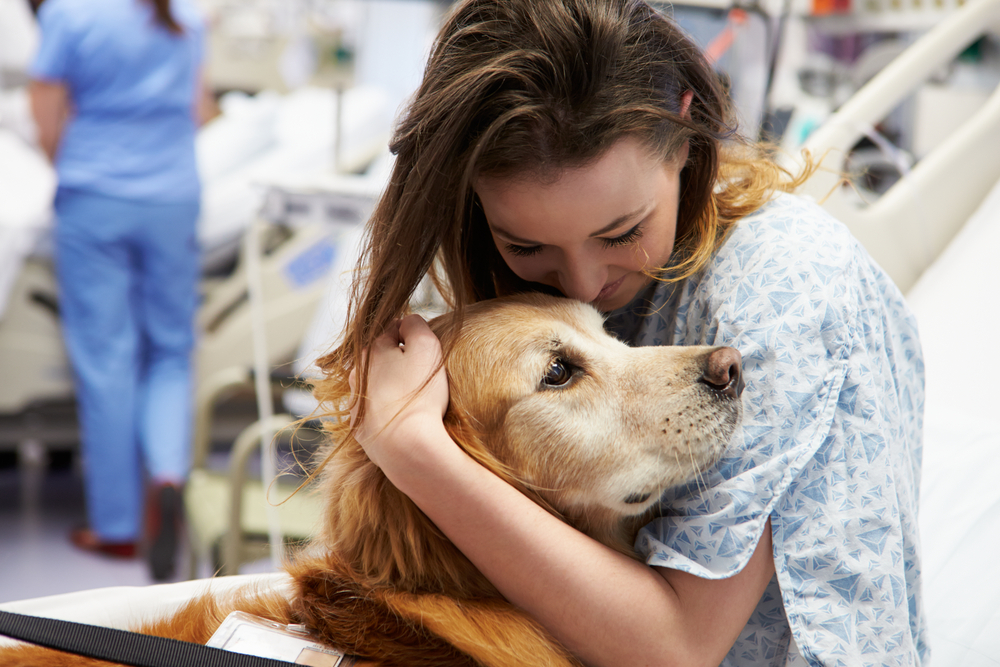 therapy-dog-with-a-girl-in-a-hospital