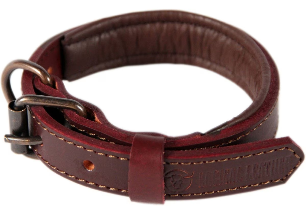 Best Full Grain Heavy Duty Genuine Leather Collar 