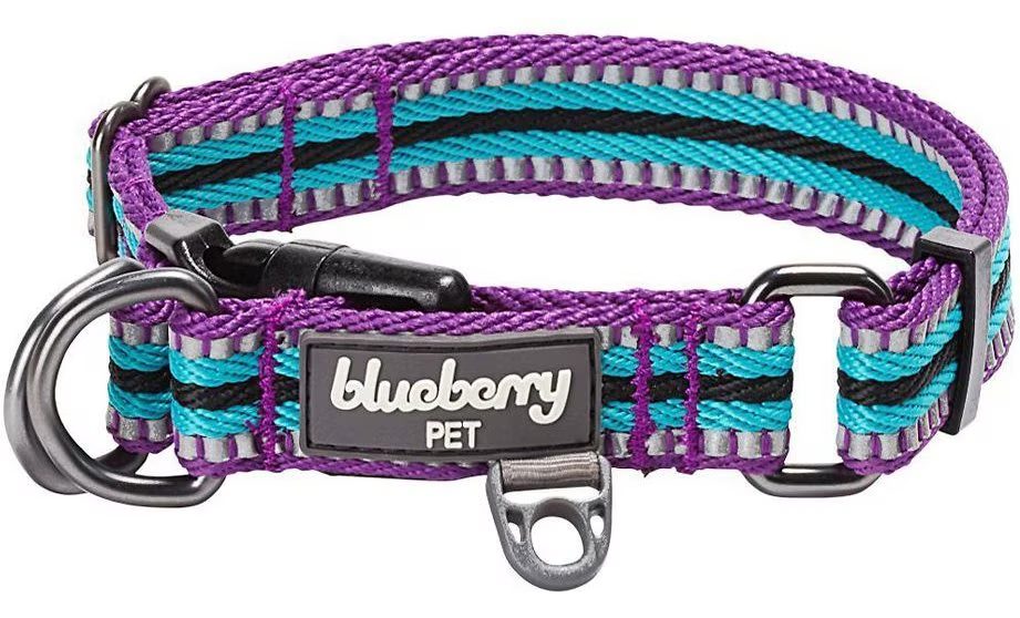 Blueberry Pet 3M Multi-Colored Dog Collar