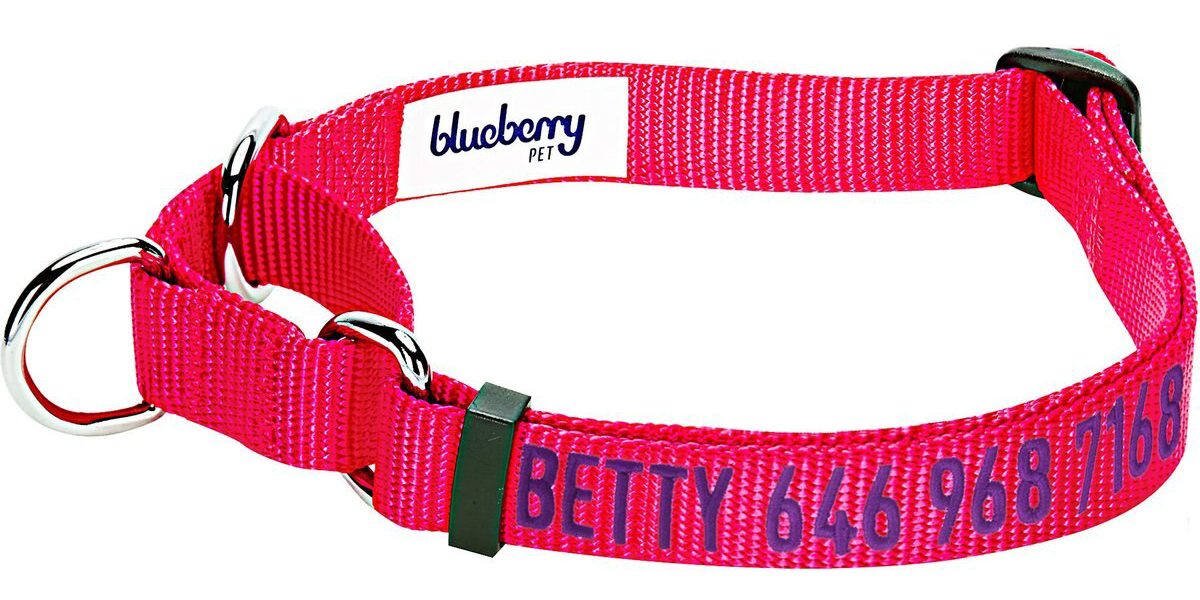 Blueberry Pet Safety Training Personalized Dog Collar
