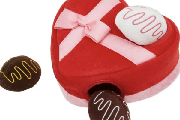 box of chocolate dog toy
