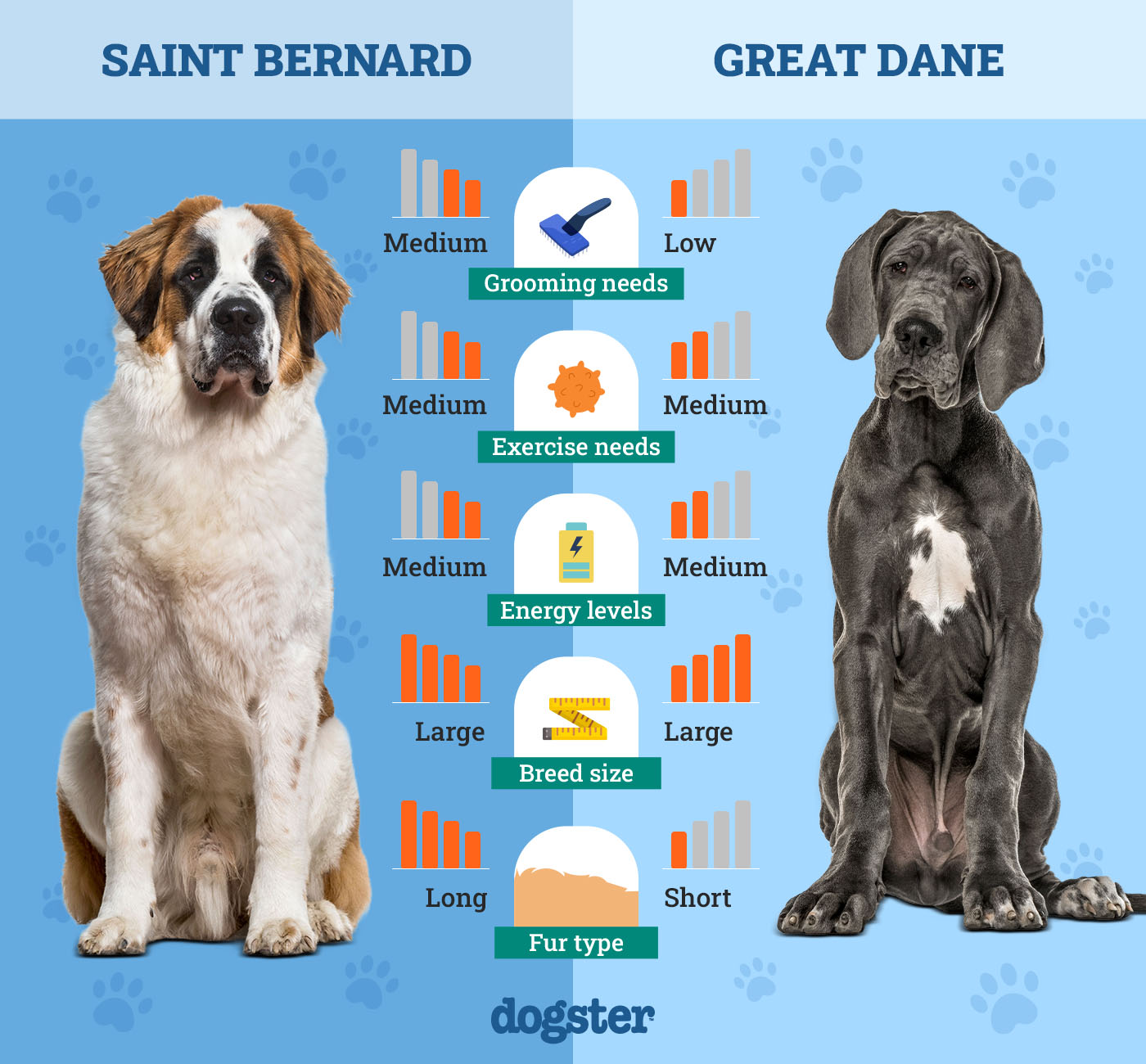 Dogster_Side by Side Comparison_ Saint Bernard vs Great Dane
