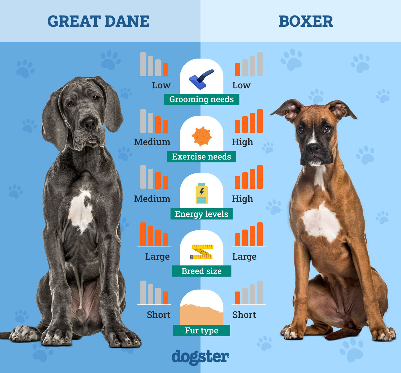 Dogster_Side by Side Comparison_Great Dane vs Boxer