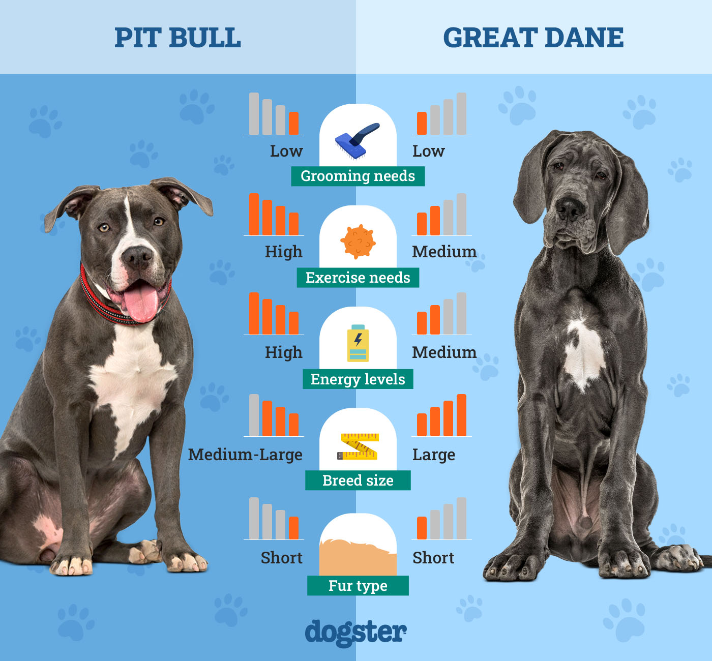 Dogster_Side by Side Comparison_Pit Bull vs Great Dane