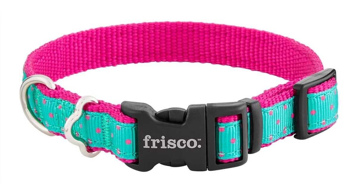 Frisco Patterned Nylon Collar
