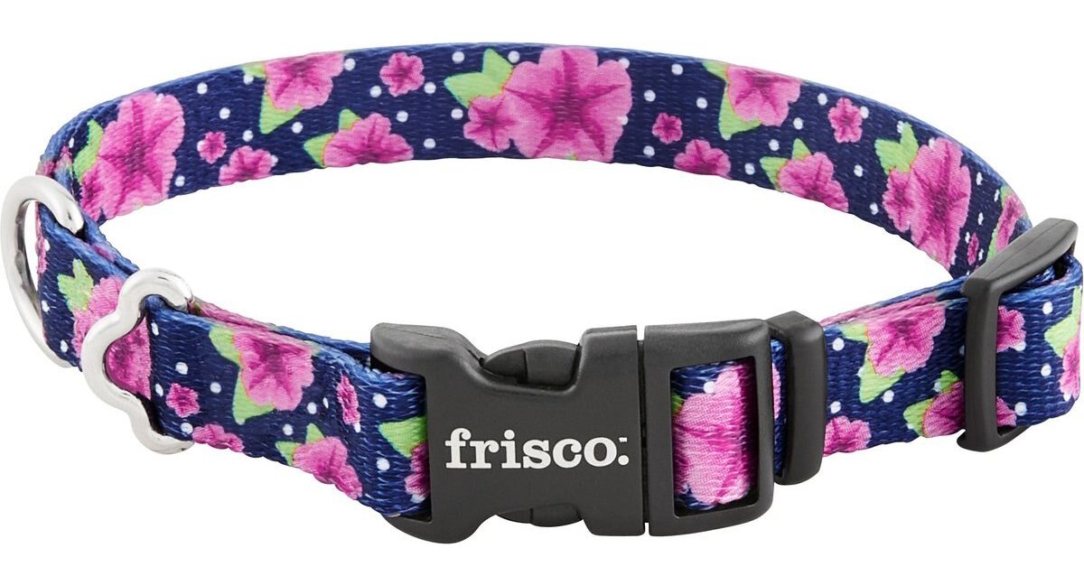 Frisco Patterned Polyester Dog Collar