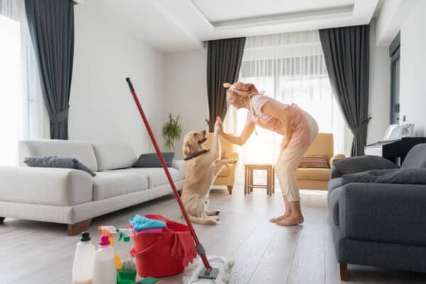 Happy dog plays with owner who does cleaning home.