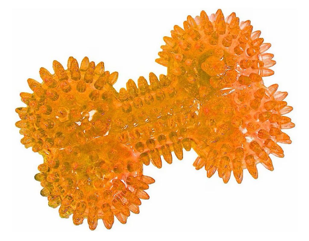 Gnawsome Squeaker Bone Dog Toy