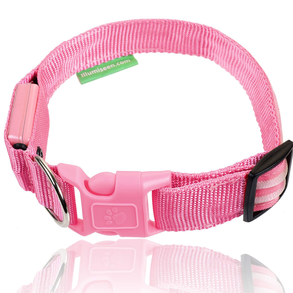 Illumiseen LED USB Rechargeable Nylon Dog Collar