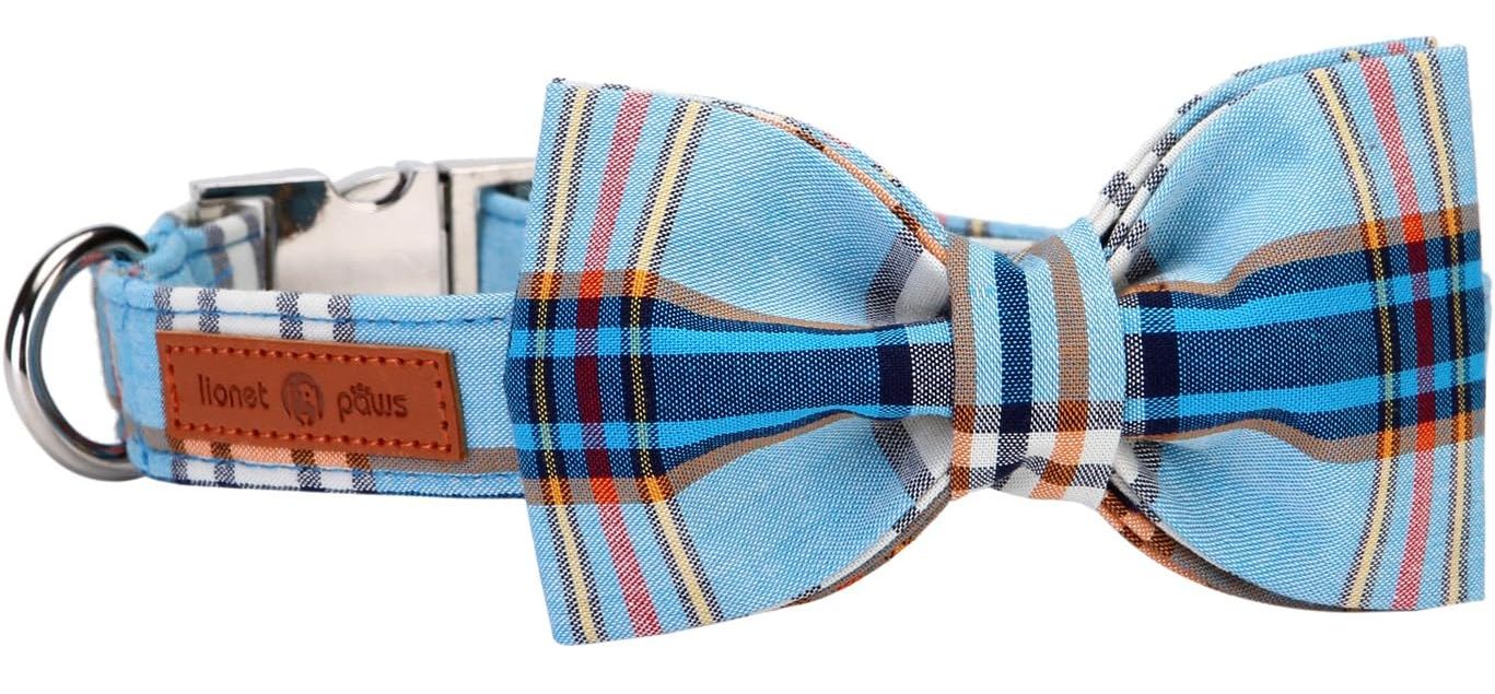 Lionet Paws Dog Collar with Bowtie