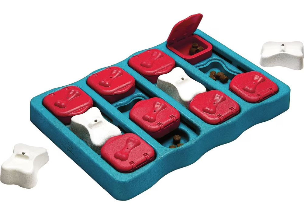 Nina Ottosson by Outward Hound Brick Puzzle Dog Toy Game