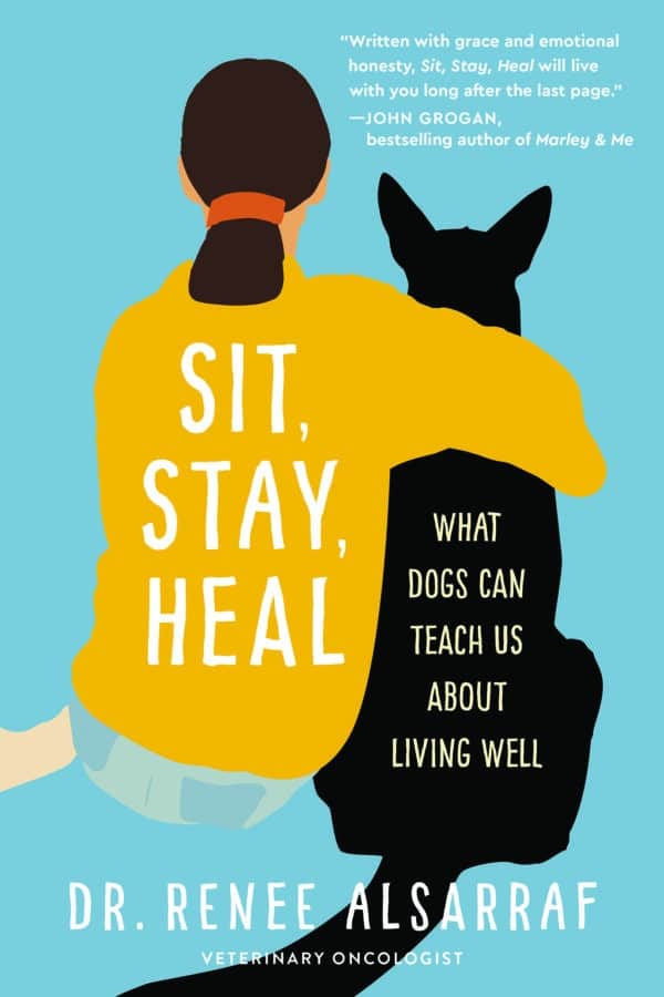 sit stay heal book cover