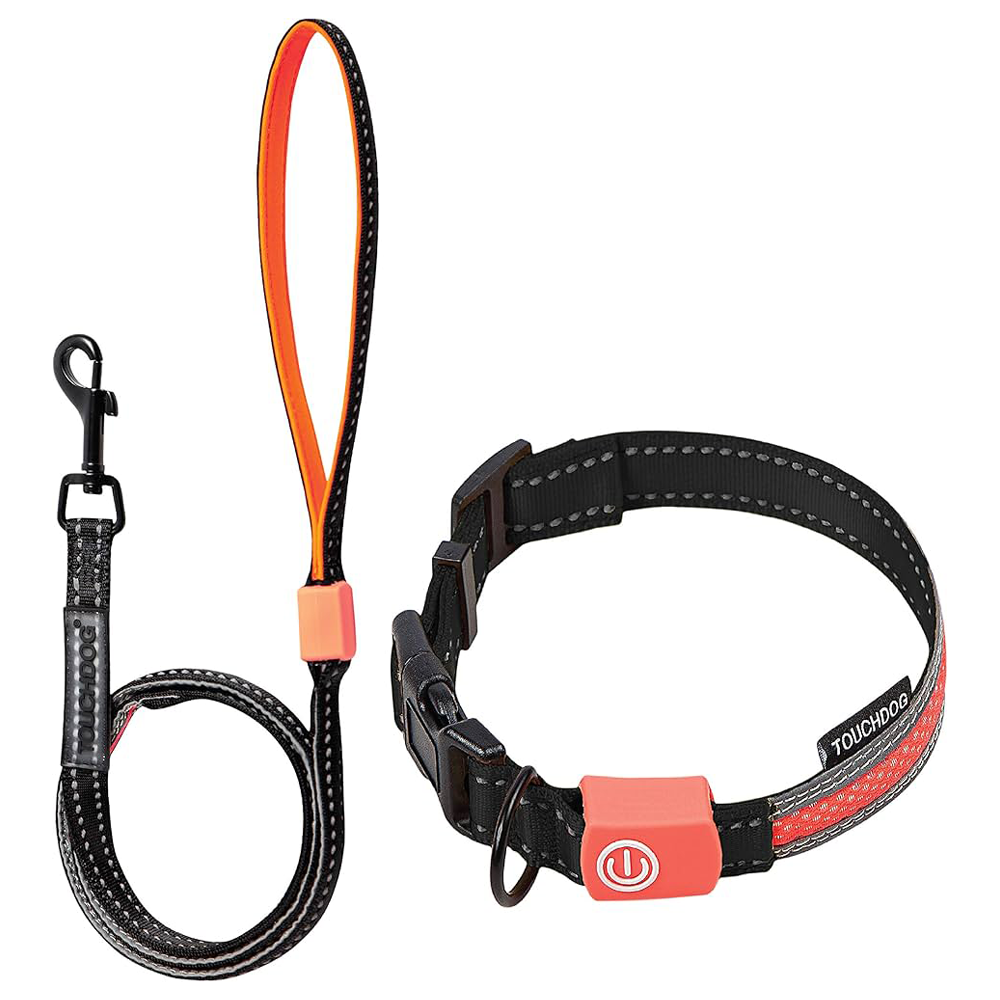 Touchdog Dog Leash and Collar