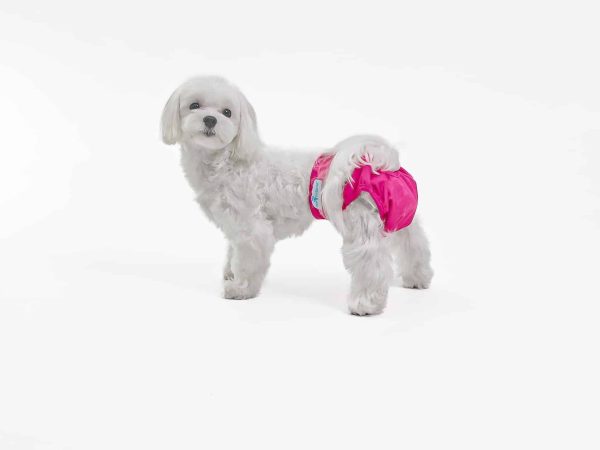 Washable Dog Diaper