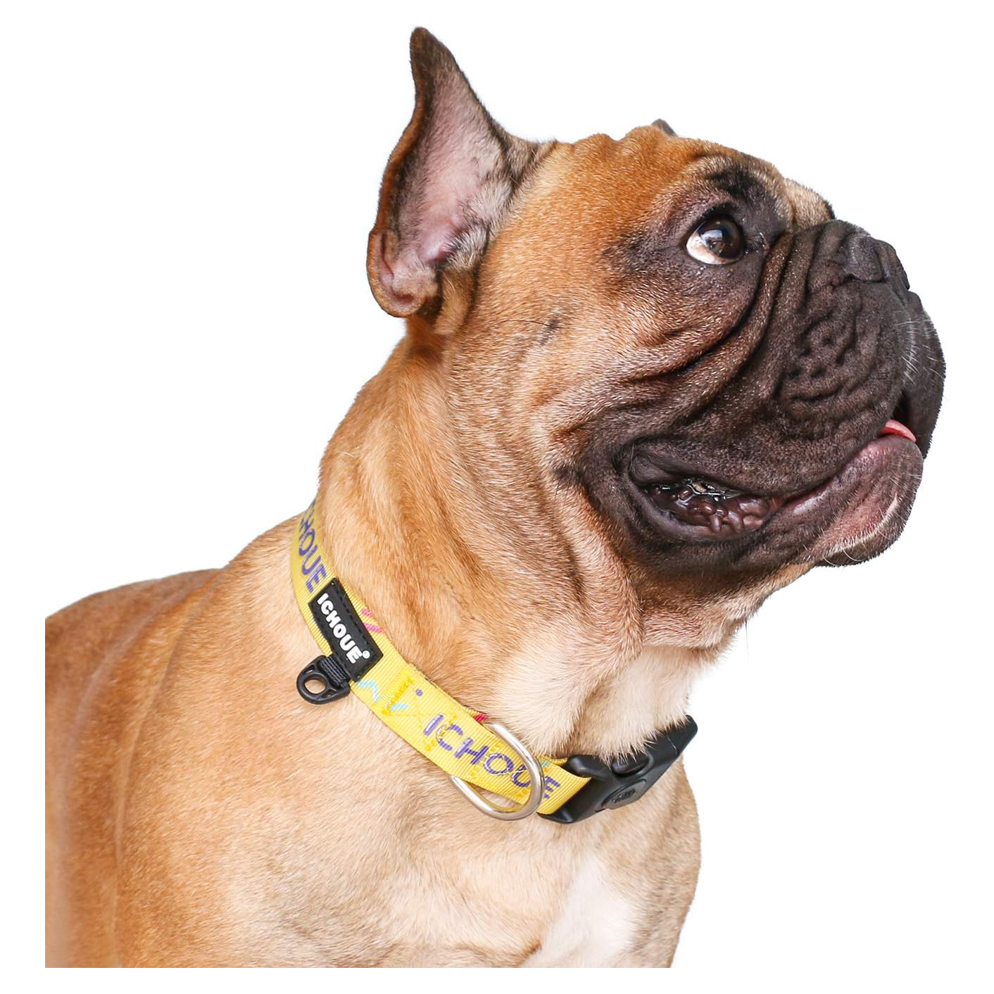iChoue Printed Dog Collar
