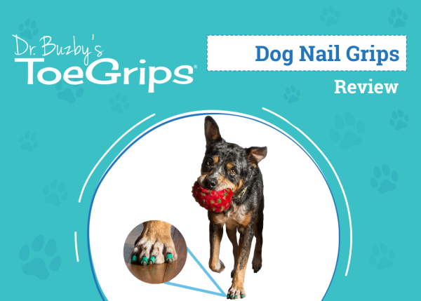 DOG_SAPR_Dr. buzby Dog Nail Grips