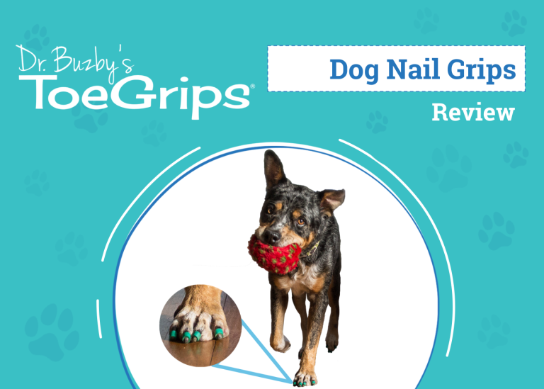 Dr. Buzby’s ToeGrips for Dogs Review 2024 An Expert's Breakdown Dogster