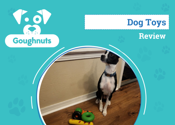DOG_SAPR_Goughnuts Dog Toys