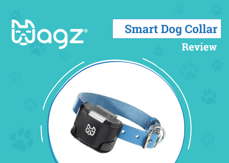 Wagz Freedom Smart Dog Collar