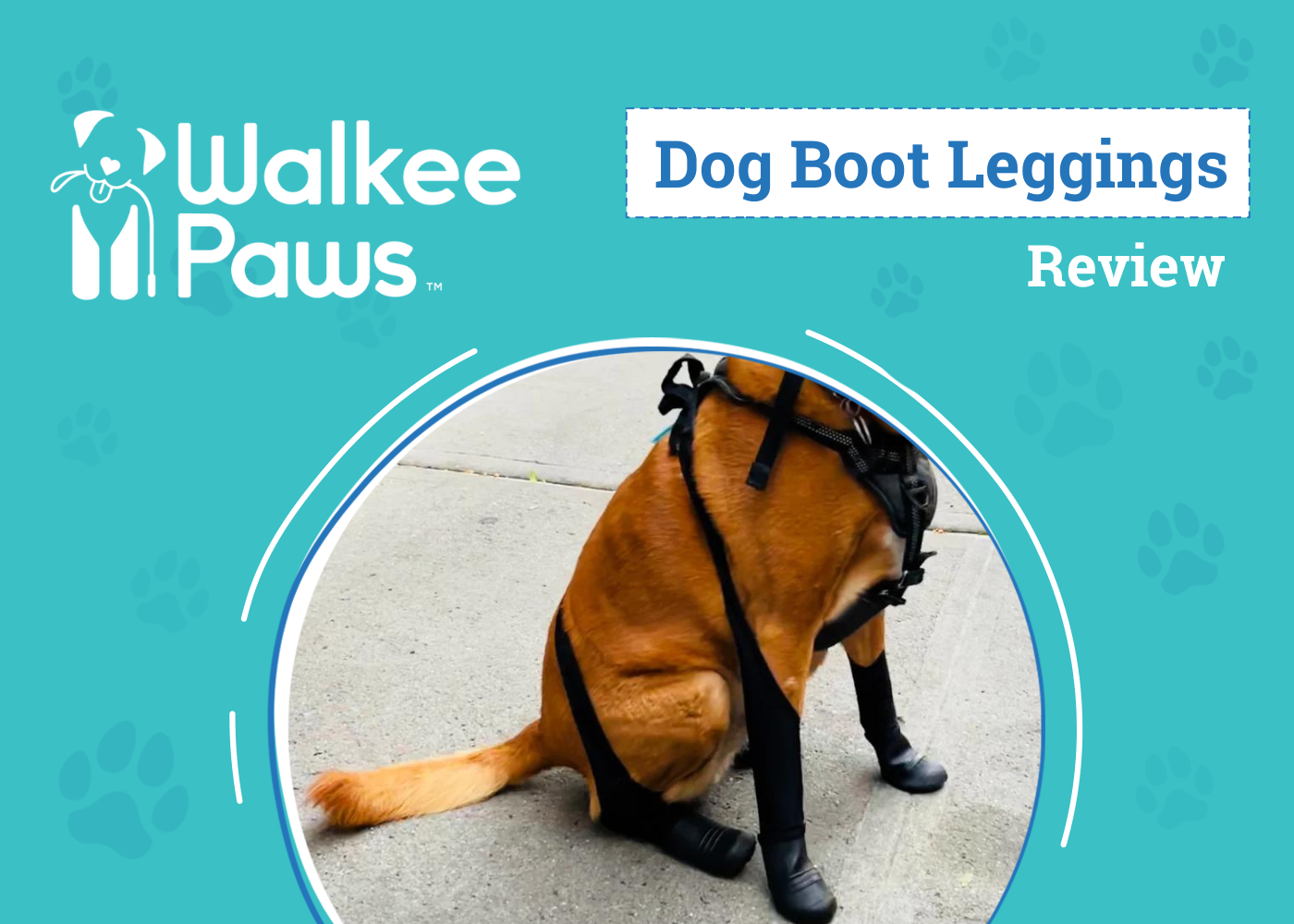 DOG_SAPR_WalkeePaws Dog Boot Leggings