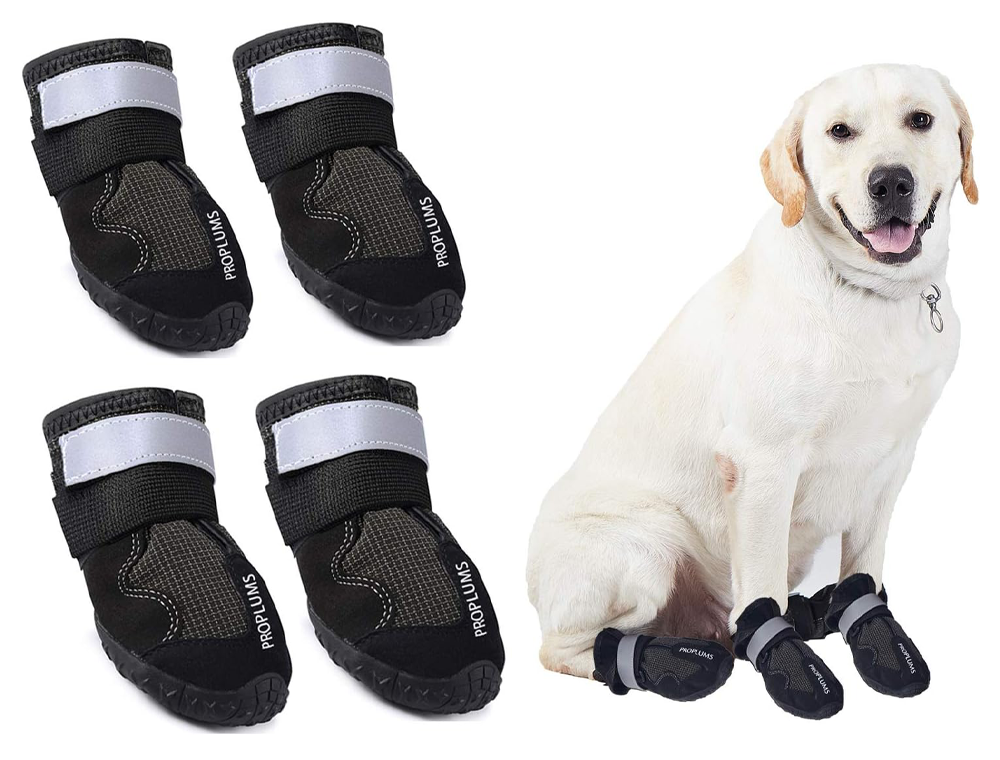 Proplums Waterproof Dog Boots