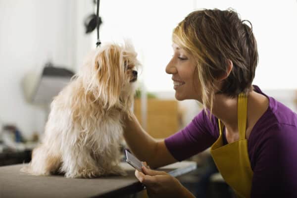 how much to tip a dog groomer