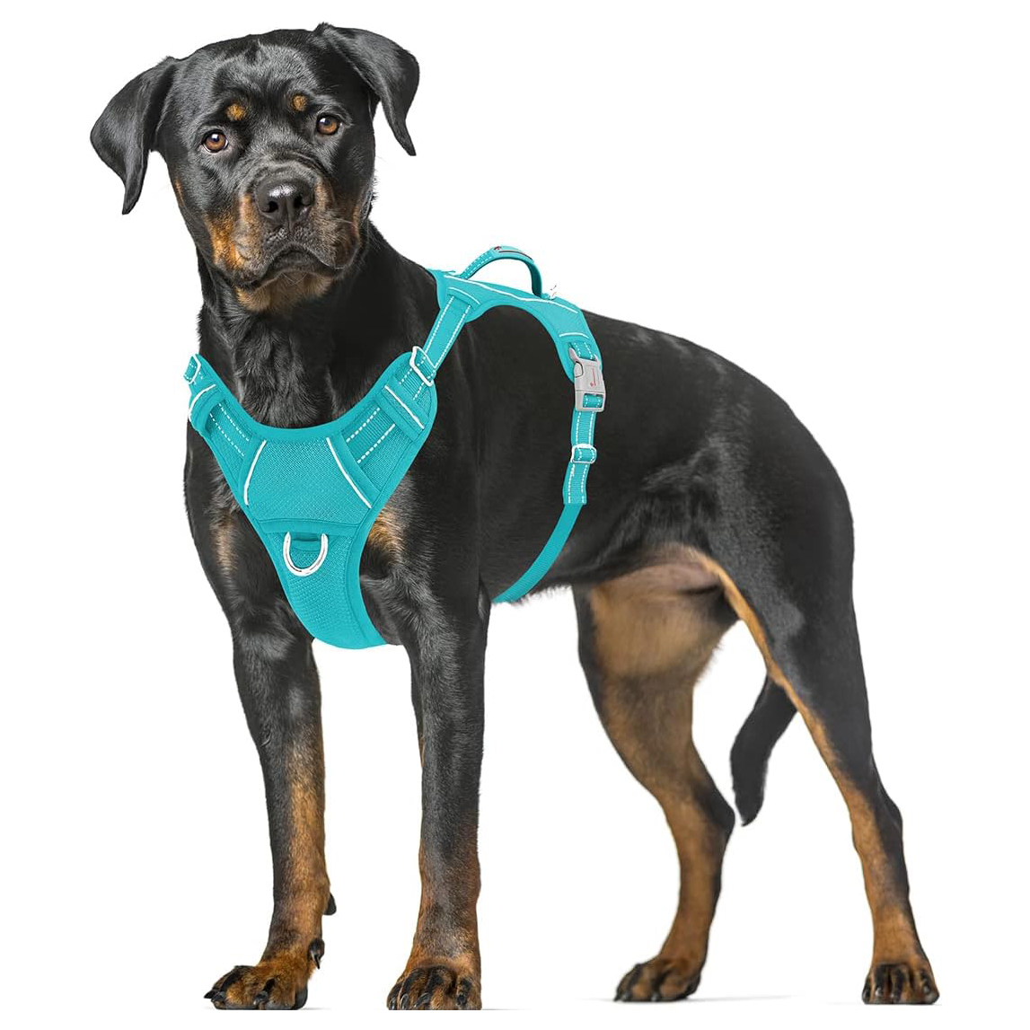 BarkBay No Pull Dog Harness