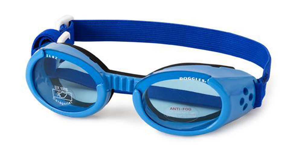 Doggles ILS Medium Shiny Blue Frame with Blue Lens Dog Goggles